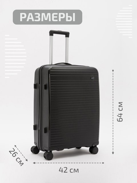 166 01 24" Чемодан. Вид 2.