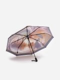 272 500 Зонт жен.авт-т. Вид 4 миниатюра.
